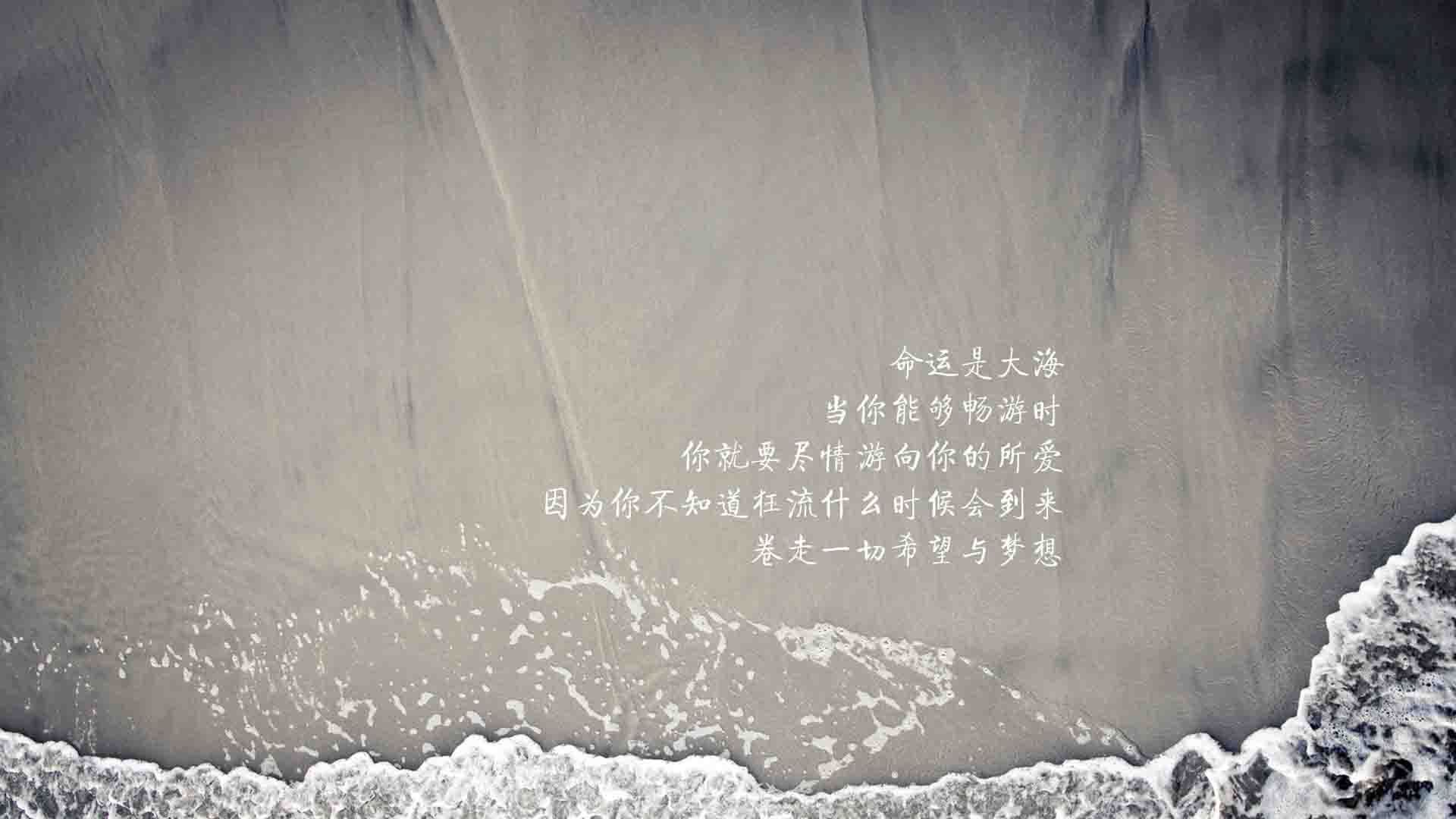 云达不莱梅奋勇前行，逐步追赶前列，云达不莱梅vs汉堡