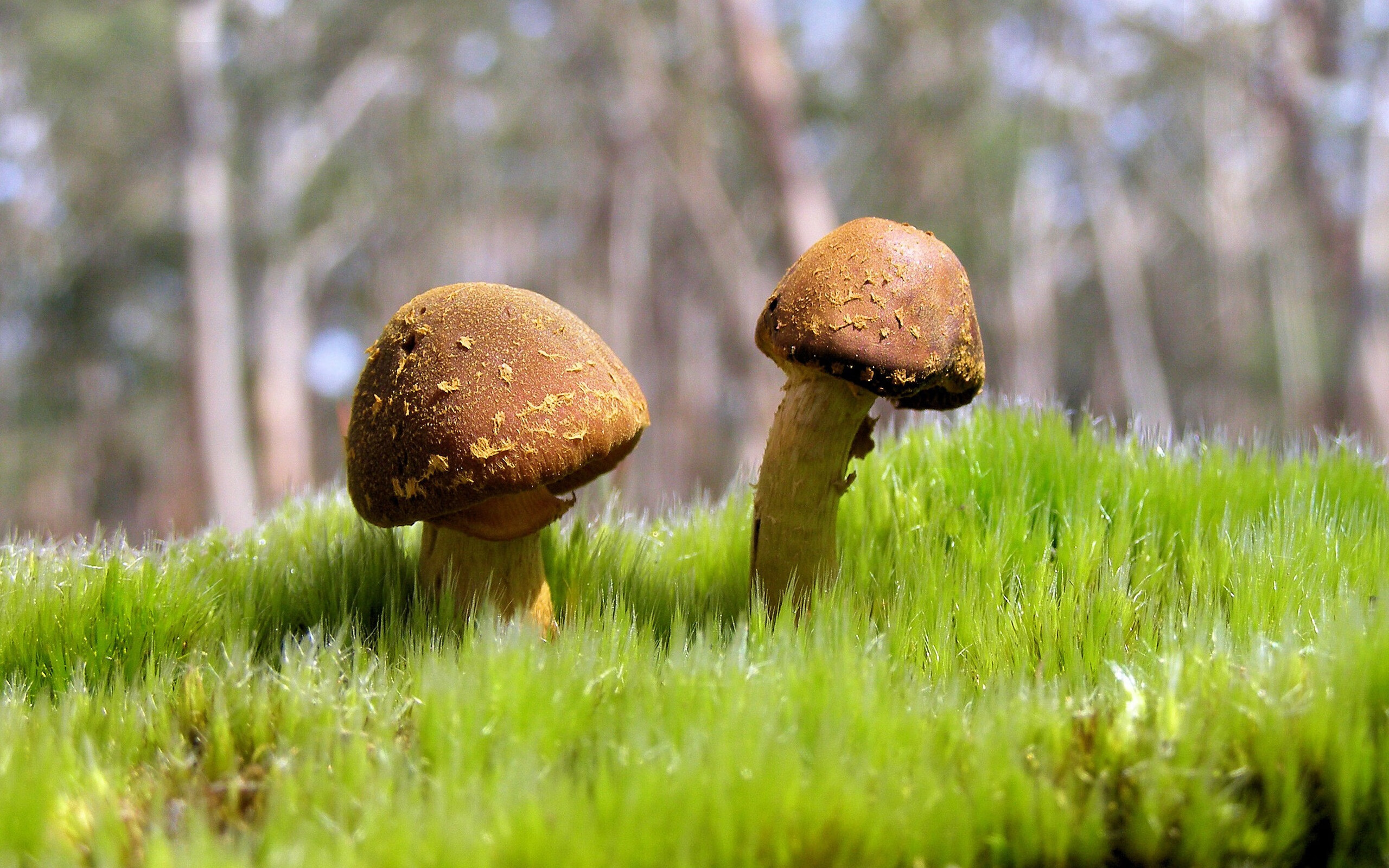 爱游戏app-足球俱乐部青训投入增加，足球青训俱乐部规章制度