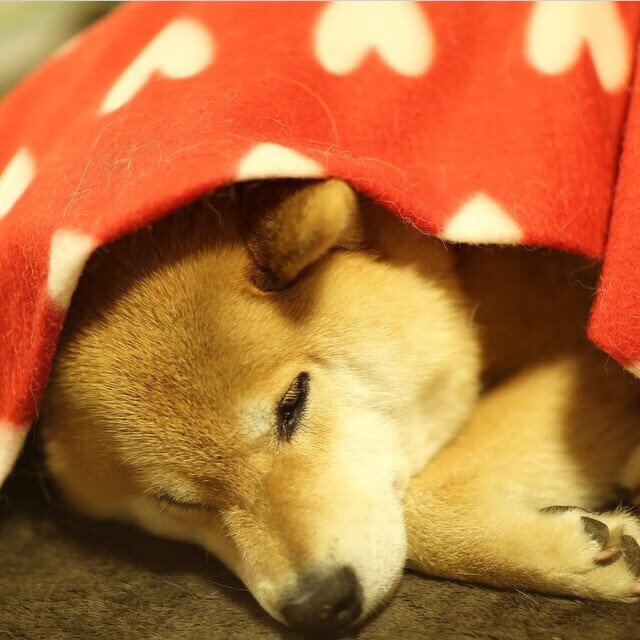 爱游戏体育-世界杯逆境突围：英雄时刻燃爆全场，世界杯遇险记