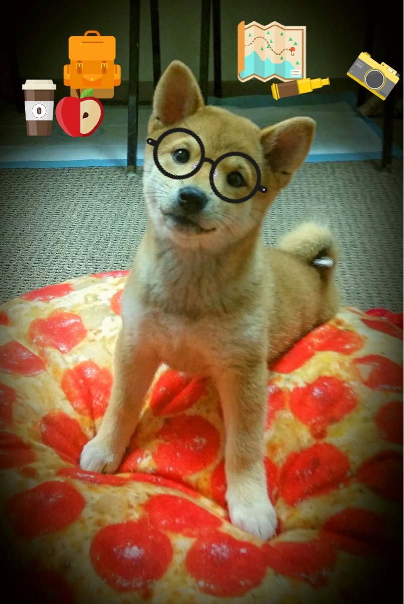 爱游戏体育（AYX）官方APP下载-中甲联赛推动统一视觉体系加强品牌传播一致性