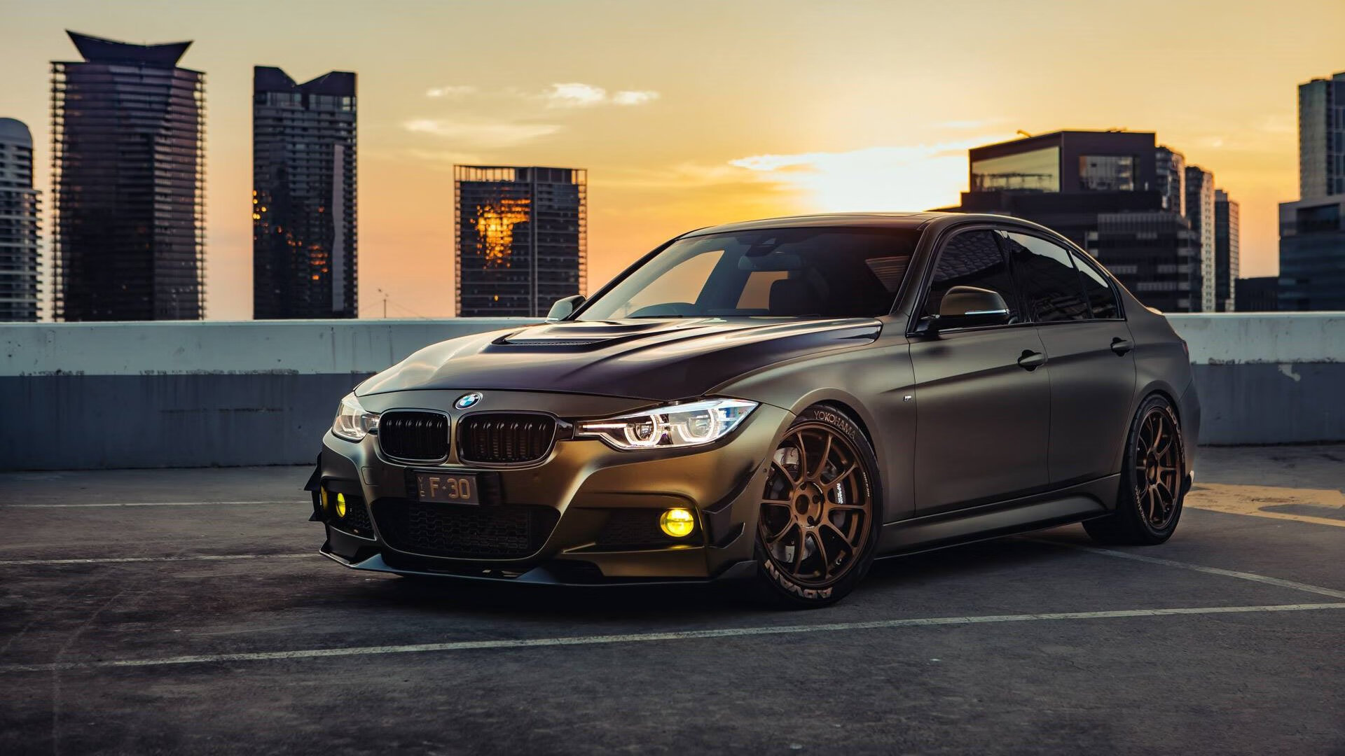 仰泳新秀摩纳哥表现超预期