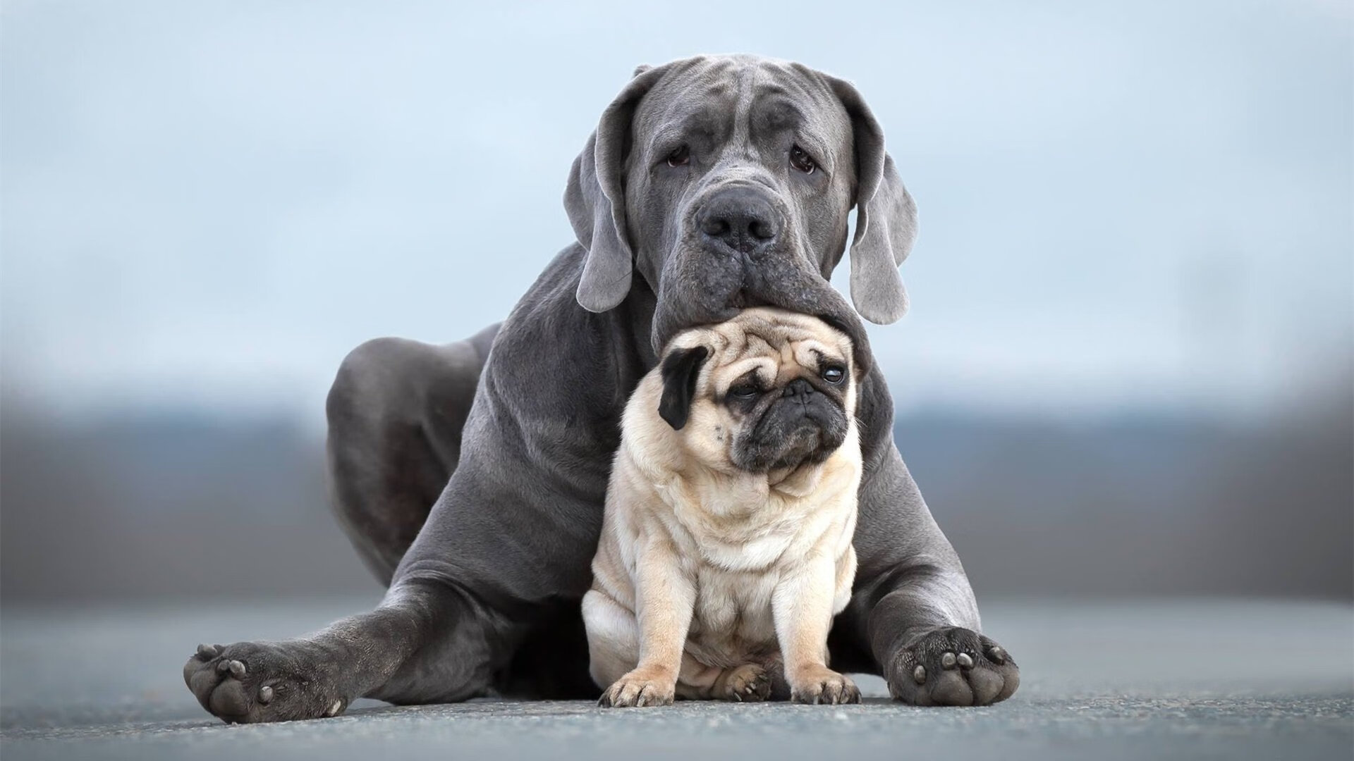 巴基斯坦男篮在国际邀请赛中积极备战,期待突破