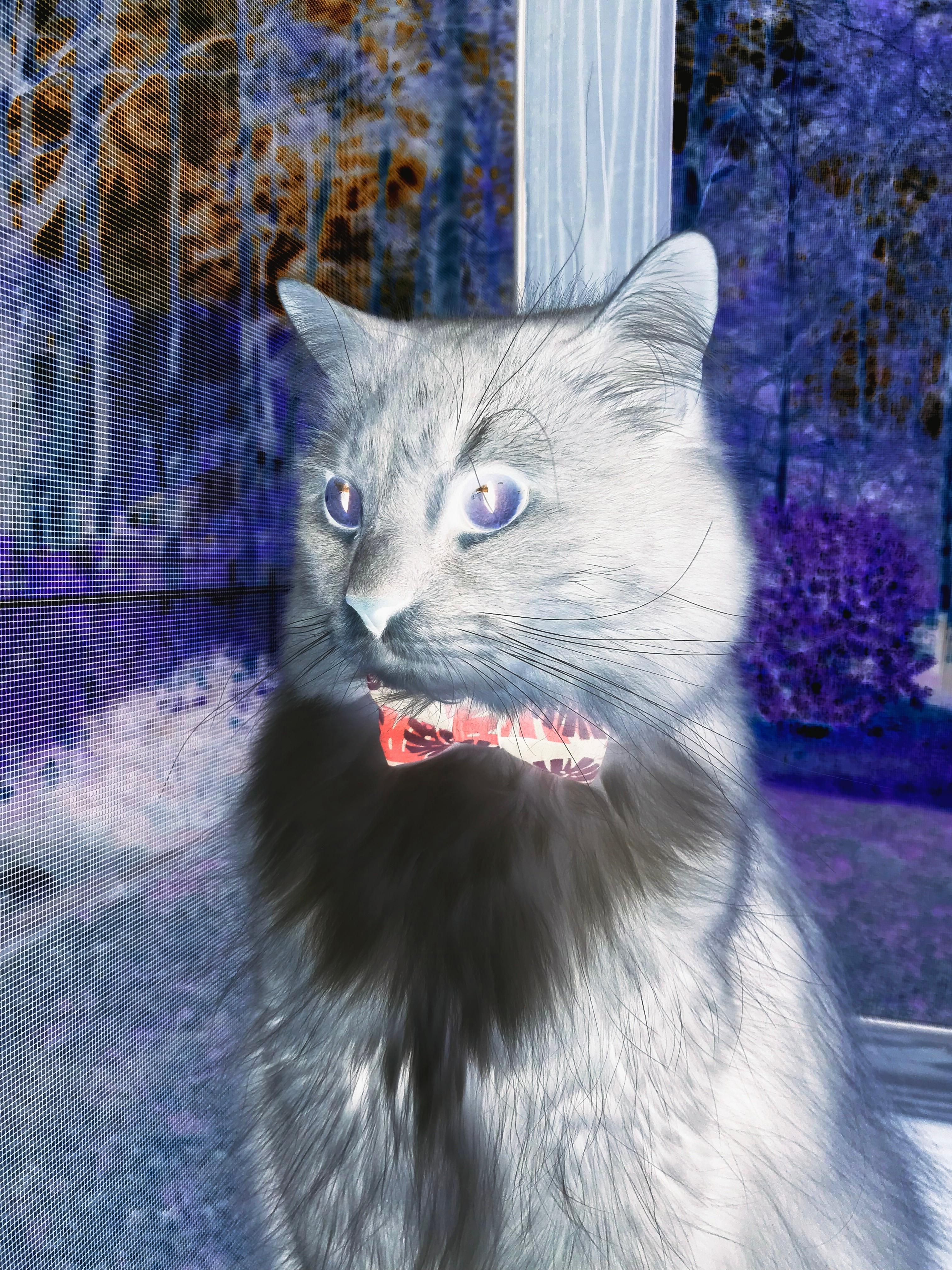 爱游戏娱乐网址-帕特森凭借稳定表现，帮助袋鼠队轻松驾驭比赛节奏，帕特森在哪里