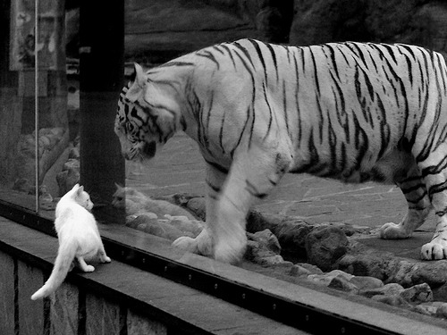 未来足球:场馆配备智能空气净化与节能系统,绿色科技引领行业
