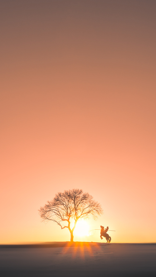 爱游戏官网-自由泳接力突尼斯团队协作顺畅，400米自由泳突尼斯