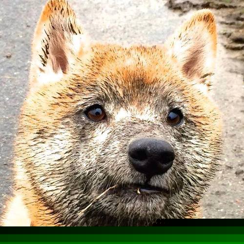 爱游戏体育（AYX）官方APP下载-训练场地全面翻新提升球员训练效率与舒适体验，球场翻新方案