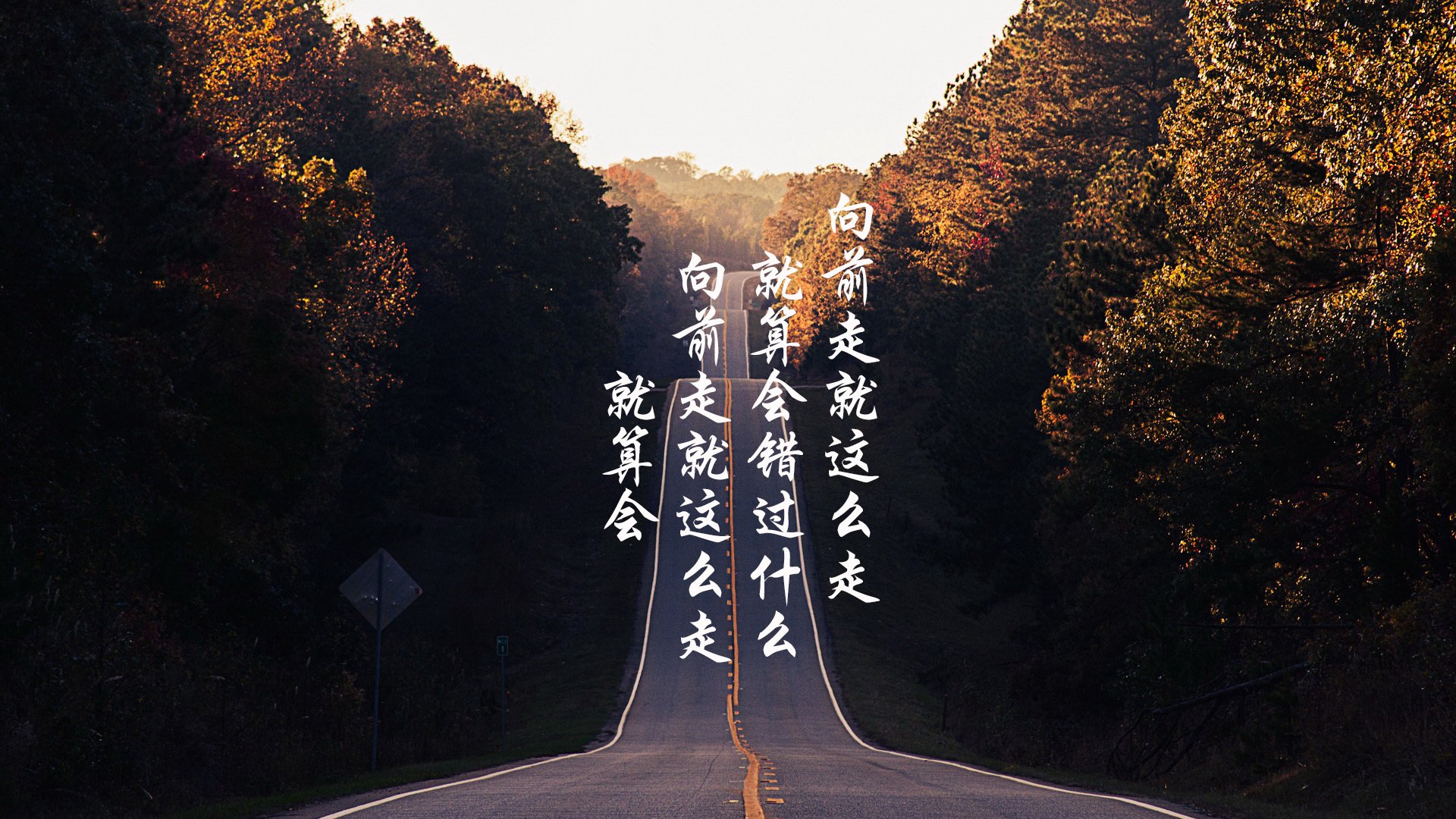 项目布局虽少但质量集中度高,项目布局是什么意思